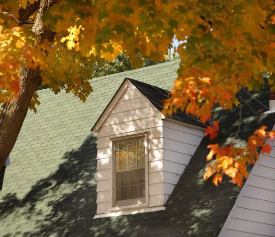 A windowed gable on a house with a green roof and white siding is partially obscured by golden autumn leaves on a nearby tree. Sunlight casts shadows of the leaves onto the roof.