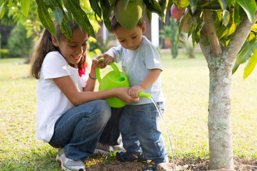  Two children, a girl and a boy, watering a tree with a green watering can outdoors.