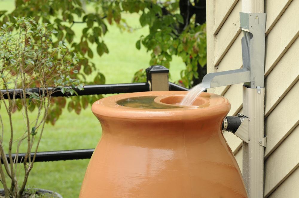 A large terracotta rain barrel connected to a gutter downspout collects water outside a house. The barrel is placed beside a beige wall and near a small plant, with a grassy lawn and trees visible in the background. Water is pouring into the barrel.